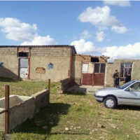 8500 متر گاوداری 30 راسی با وام فروشی در سنقر