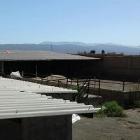 فروش گاو داری باتهجیزات کامل در تهران