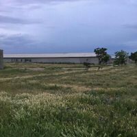 فروش مرغداری 40 هزار قطعه ای تاکستان