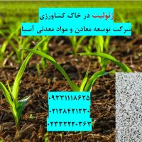 فروش زئولیت در زمین کشاورزی