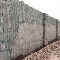 گاوداری صنعتی حومه تهران