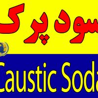 فروش سود پرک