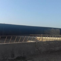 15000 متر گاوداری فروشی در قرچک تهران