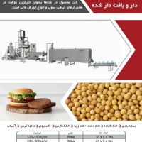 خط تولید سویا