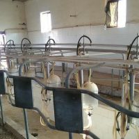 فروش گاوداری شیری صنعتی وپرورش ماهی در تهران