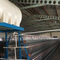 فروش مرغداری در تبریز