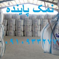 قیمت محصولات نمک ارزان شد