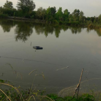 فروش 7هکتار پرورش ماهی در رشت