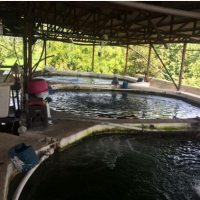 فروش یا معاوضه۲۰۰۰ متر مزرعه پرورش ماهی قزل آلا  در نوشهر