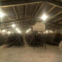 فروش 12600 متر مرغداری تخم گذار در ماکو