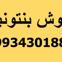 فروش بنتونیت