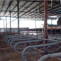 فروش و معاوضه 4000 مترگاوداری مجهز در شهرک لبن در قم