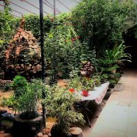 مشاور دکور داخلی با تزئینات کافه رستوران