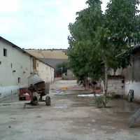 فروش مرغداری گوشتی 80 هزار قطعه ای در گیلان