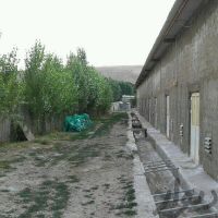 فروش کارخانه تولید و پرورش قارچ در فیروزکوه