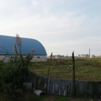 فروش 1700 متر زمین جهت گلخانه و سوله در ساری