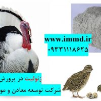 فروش زئولیت ویژه خوراک و بستر پرورش پرندگان