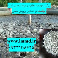 فروش زئولیت در بستر استخرپرورش ماهی