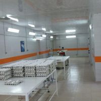 فروش کارخانه بسته بندی تخم مرغ در زنجان