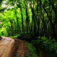 فروش کارخانه آب معدنی در مازندران