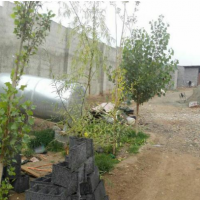 فروش 500 متر کارگاه  شهریار