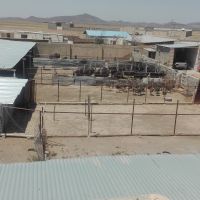 فروش مزرعه پرورش شترمرغ