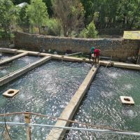 پرورش ماهی در گیلاوند با آب چشمه