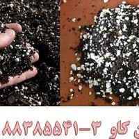 مزیت استفاده از خاک های پرلیتی Perlite