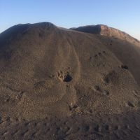 فروش سنگ اهن مگنتیت در ایران