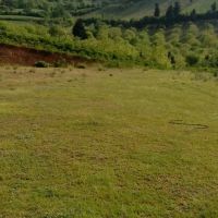 معاوضه 5000 زمین مرغداری با خودرو و اپارتمان در تهران