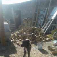 فروش 500متر گاوداری در نظرآباد