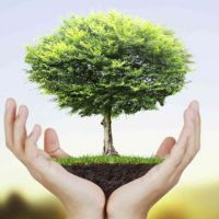 کائولن معدن کاوان جهت تولید سموم و آفت کش ها