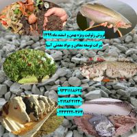 فروش زئولیت