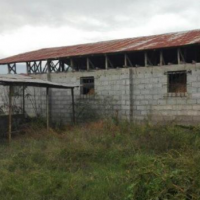 فروش 2000 متر  زمین و دامداری و استخر در املش