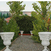 تولیدی رویال در دزفول