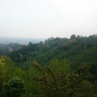 فروش یک هکتار زمین برای مرغداری  در املش