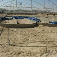 فروش زمین کشاورزی در جاده اصفهان  یزد