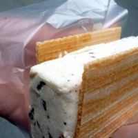 خط تولید نان بستنی در کرمان فروشی