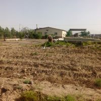 مزرعه دامداری و کشاورزی