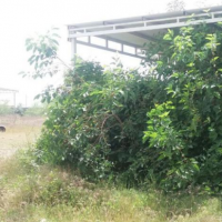 فروش 5000 متر ملک در شهرک صنعتی شماره 1 اندیمشک