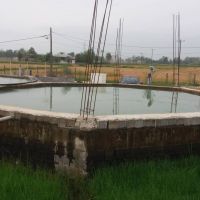 فروش پرورش ماهی سرد آبی رشت