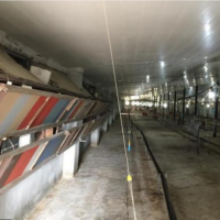 فروش 15000 متر مرغداری در مازندران