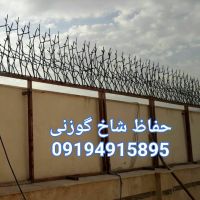 حفاظ دیوار شاخ گوزنی