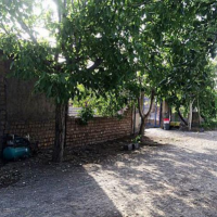 فروش 10 هکتاردامداری و زمین کشاورزی در ساوه