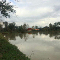 فروش 26300 متر زمین و استخر با کاربری پرورش ماهی در رشت