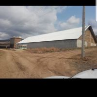 کارخانه ارد وگندم