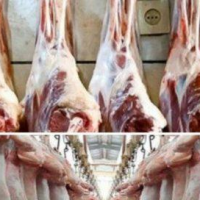 نیاز به همکار و شریک در ساوجبلاغ