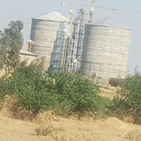 فروش سیلوی گندم در ایلام