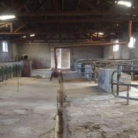 فروش گاوداری با قابلیت تبدیل به کارخانه در مراغه