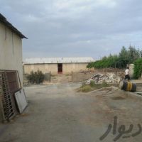 فروش دامداری در اصفهان